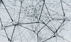 Researchers Build Powerful AI Model Using Only Open Data