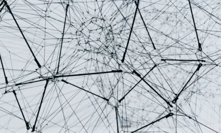 Researchers Build Powerful AI Model Using Only Open Data
