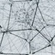 Researchers Build Powerful AI Model Using Only Open Data