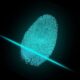 AI Fingerprints Scientific Papers