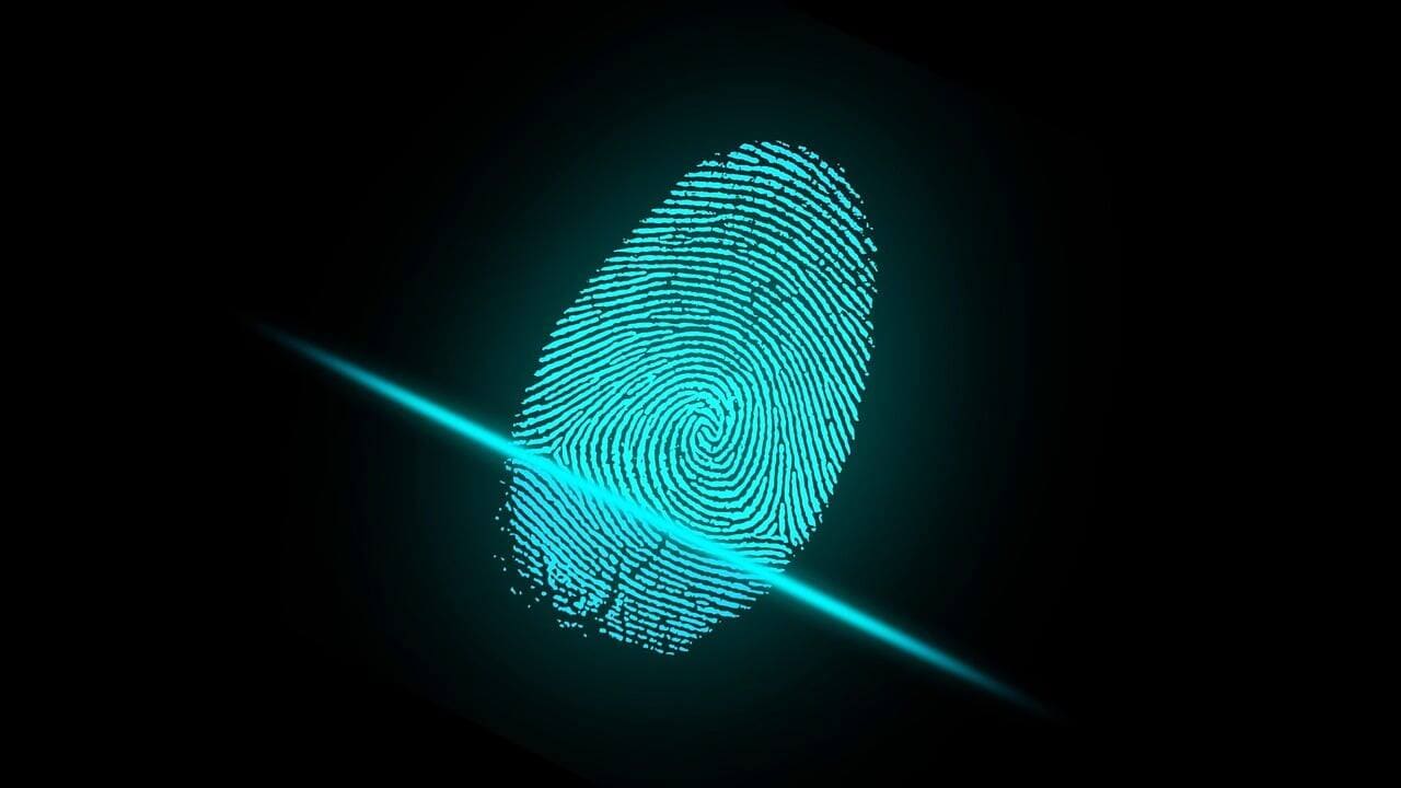 AI Fingerprints Scientific Papers