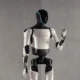 AI Robots Could Fill $10 Trillion Labor Gap as World Ages